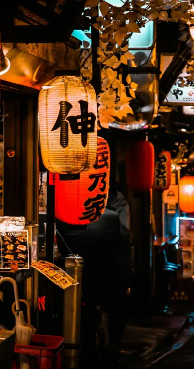182237 東京城市，新宿夜生活徒步之旅（湊團）