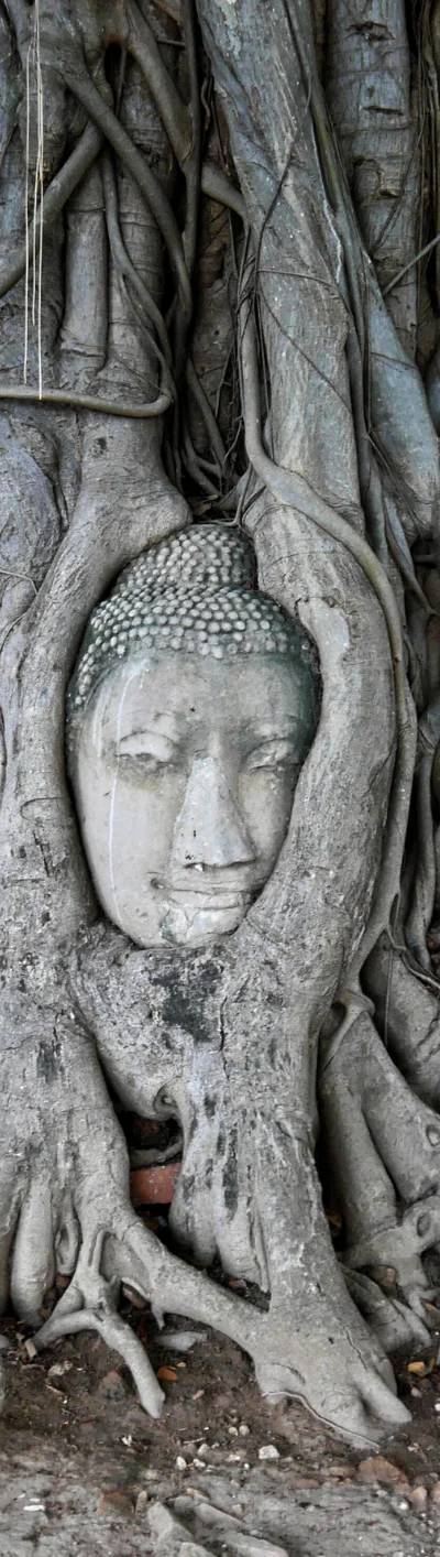 Ayuthaya Must Visit Temples Tour